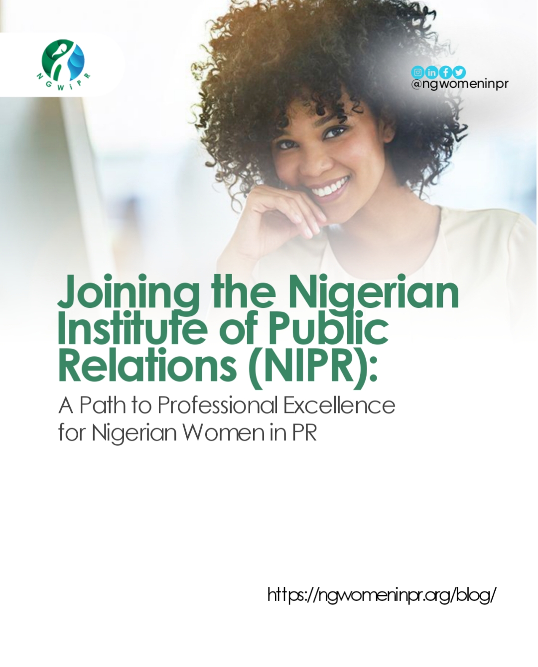 Joining The Nigerian Institute Of Public Relations (NIPR): A Path To ...